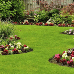Hardscaping vs Softscaping: The San Jose Homeowner’s Landscape Design Guide